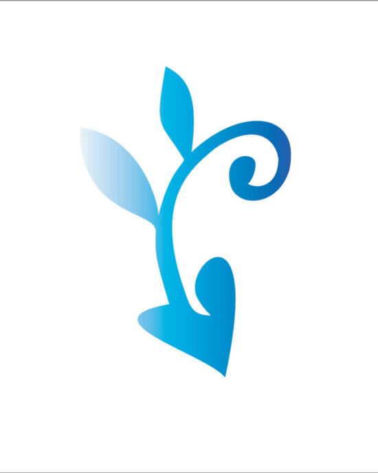 Logo design, educational, Village Montessori School